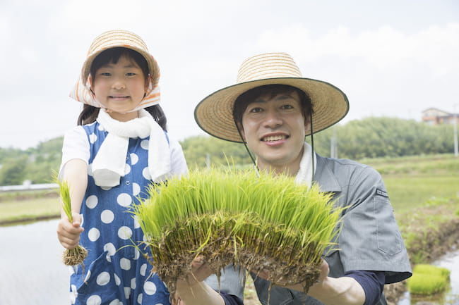 兼業農家 扶養家族