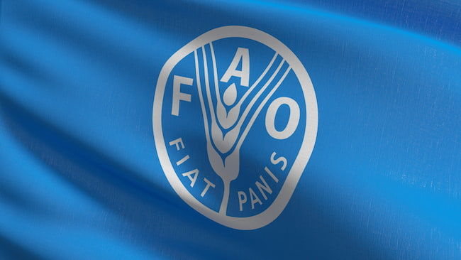 国際連合食糧農業機関(FAO)