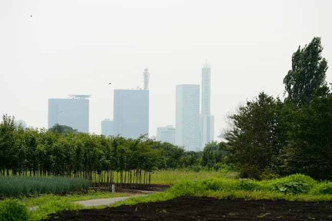 都市　緑地