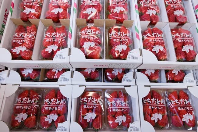 栃木県産　とちおとめ