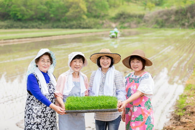 レシピ開発などに女性の力を活かす