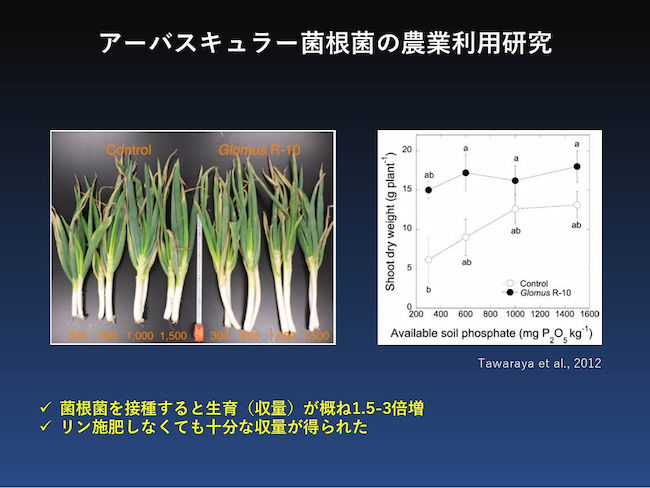 微生物活用で化成肥料に匹敵する収量を実現? 新農法の最前線
