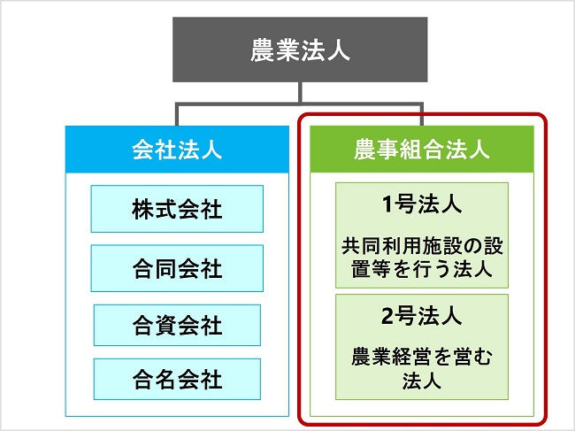 農業法人の種類　会社法人 農事組合法人