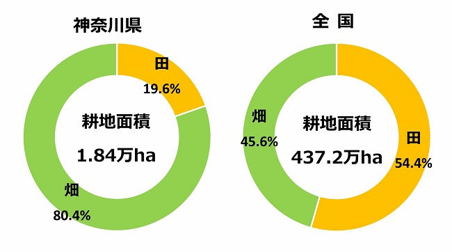 神奈川県の耕地面積と田畑の割合 全国平均との比較