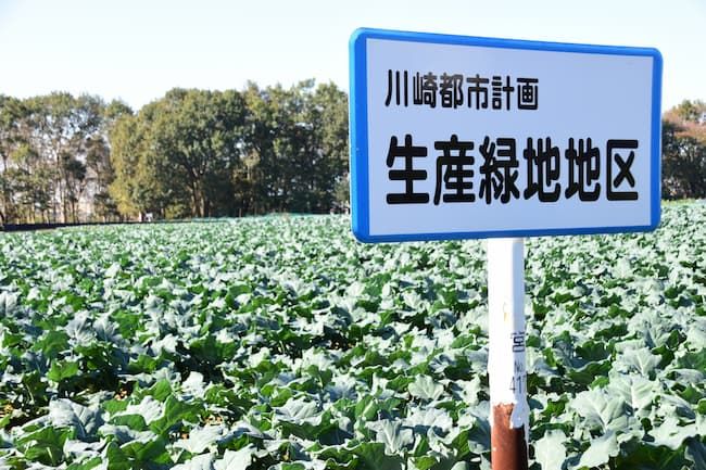 川崎市の生産緑地地区