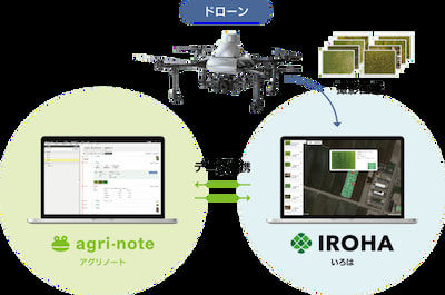 葉色解析サービス「いろは」