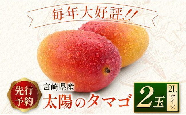 完熟マンゴー「太陽のタマゴ」はふるさと納税でも人気がある