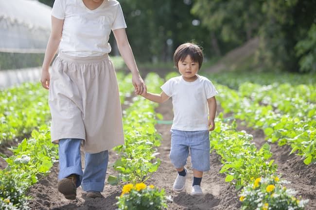 手荒れのない手で子供と手をつなぐ