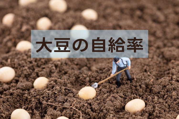大豆の自給率はなぜ低い？ 生産量を増やすために農家ができる3つの工夫 
