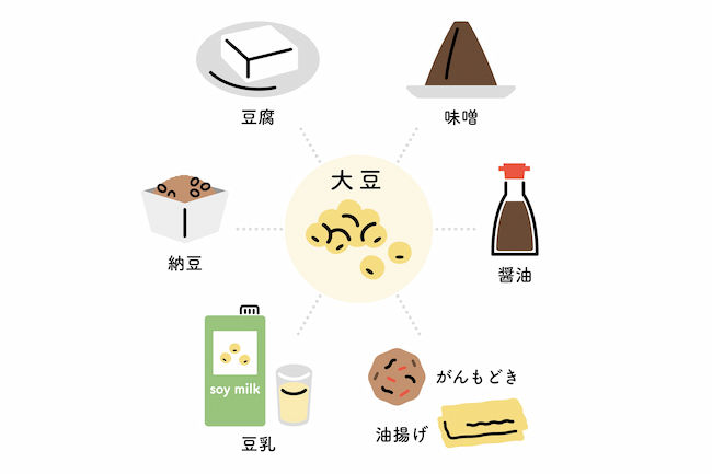さまざまな大豆食品 豆腐・納豆・豆乳・油揚げ・がんもどき・醤油・味噌