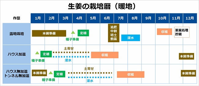 生姜の栽培暦