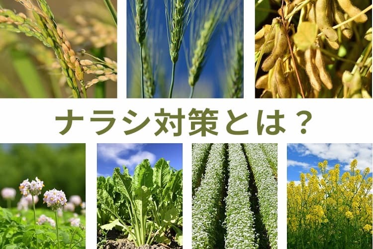 収入減少影響緩和交付金(ナラシ対策)とは? 収入保険との違いや試算例をわかりやすく解説!
