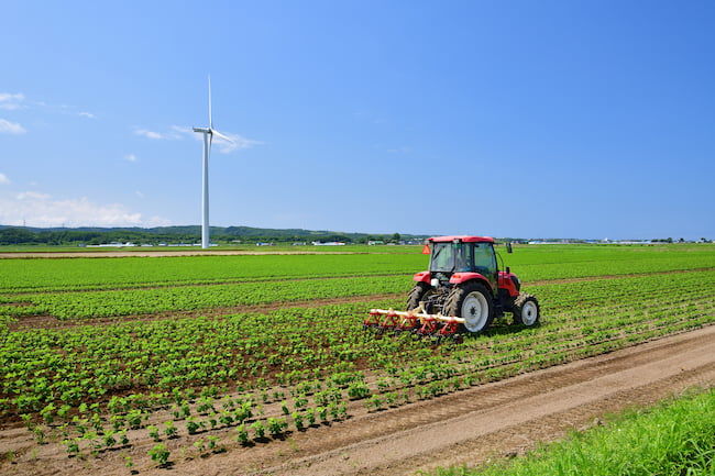大豆の中耕培土・除草