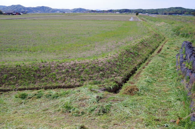 冬の間に畦畔の法面を除草してきれいに