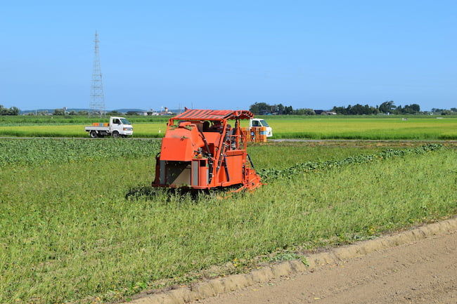 乗用型の枝豆収穫機