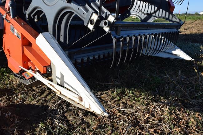 大豆のコンバイン収穫