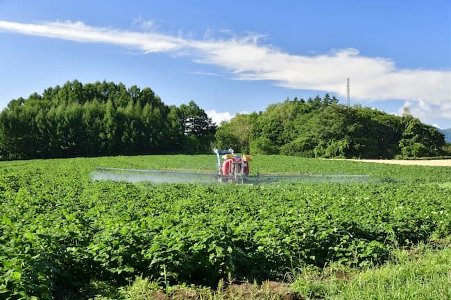 大豆ほ場 農薬散布