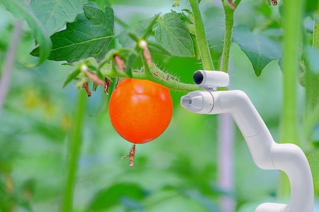 トマト収穫ロボット