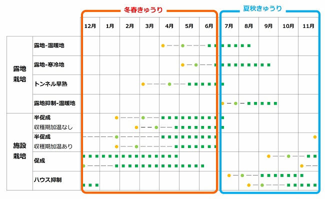 きゅうりの作型と「冬春きゅうり」「夏秋きゅうり」の関係