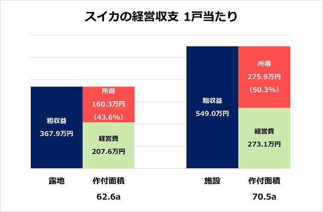 スイカの経営収支 1戸当たり