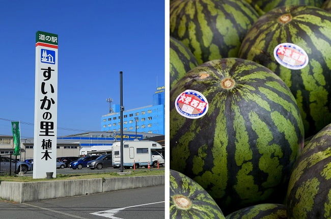 熊本県「植木すいか」 鳥取県「大栄すいか」