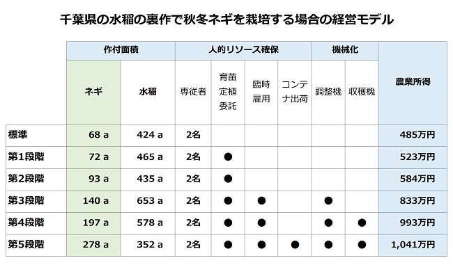 千葉県の水稲の裏作で秋冬ネギを栽培する場合の経営モデル