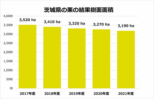 茨城県の栗の結果樹面面積