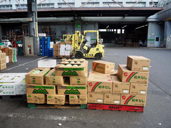 青果市場　集荷　フォークリフト