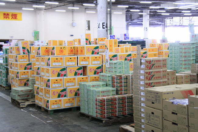 青果市場には、さまざまな品目、さまざまな産地の農産物が集まる