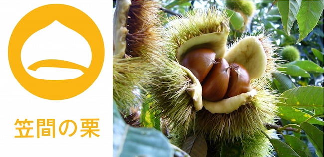 茨城県は、「笠間の栗」をブランド和栗として推しだしている