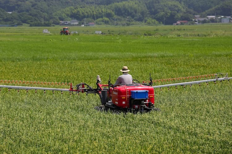 イネの“ごま葉枯病”を徹底防除! 症状の特徴と有効な対策・農薬一覧