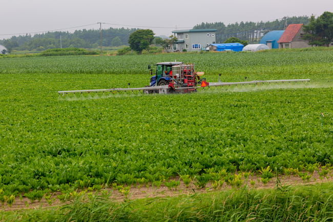 落花生ほ場の農薬散布