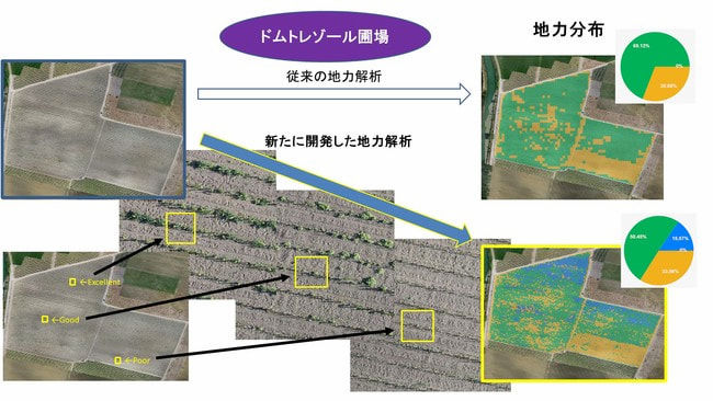 地力解析の例