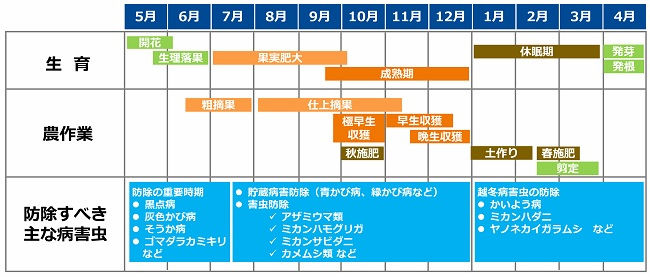 みかんの栽培暦・防除暦