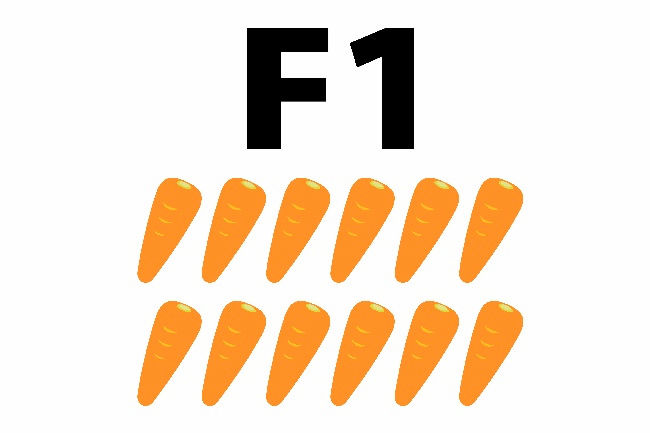 F1種のニンジン イメージ