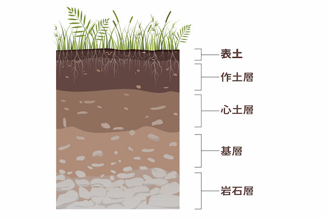 土層の模式図