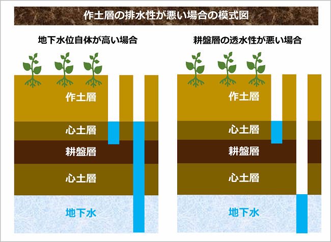 作土層 耕盤層 心土層 地下水位の模式図