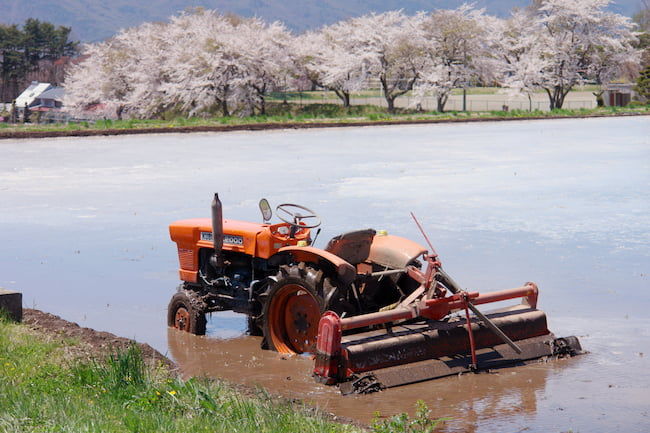 代かき後 田植えを待つ水田