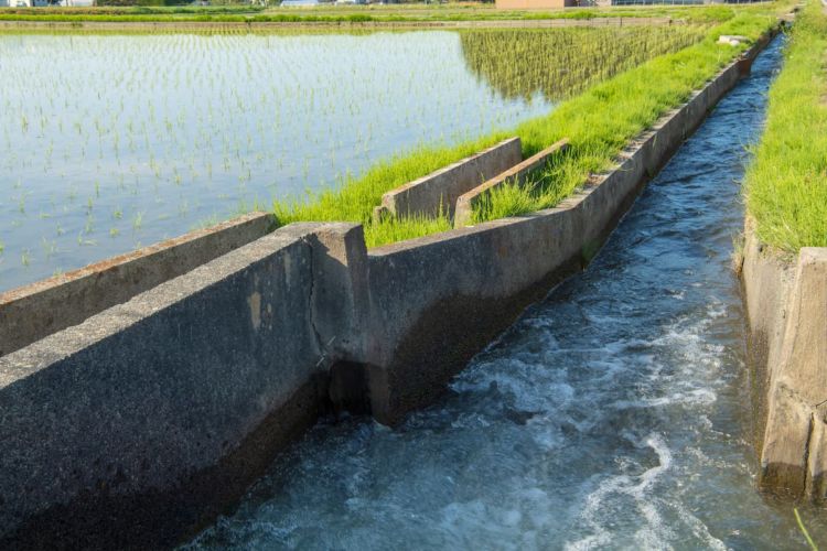水田 用水路