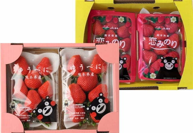 2021年12月、「JA全農の産直通販JAタウン」に熊本県産の「ゆうべに」と「恋みのり」を食べ比べできる商品が登場