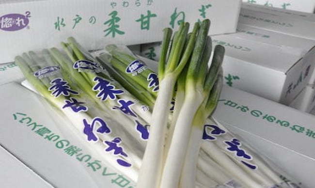 茨城県産「柔甘ねぎ」は「地理的表示保護制度(GI)」に登録されている