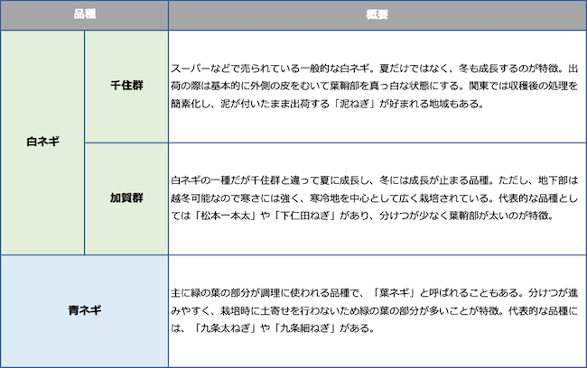 ネギの品種