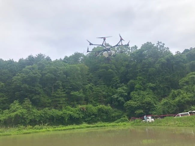 水田にドローンでの水稲直播)(大阪天王地区)初実施