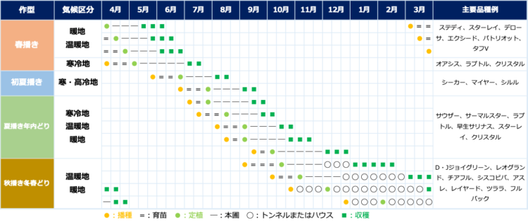 レタスの基本作型と地域別の栽培時期