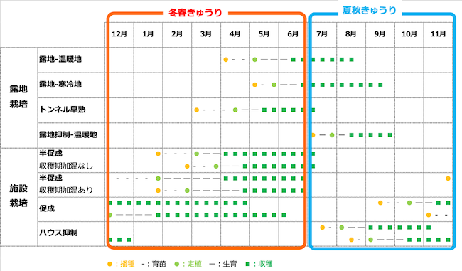 きゅうりの作型と産地別の主要品種