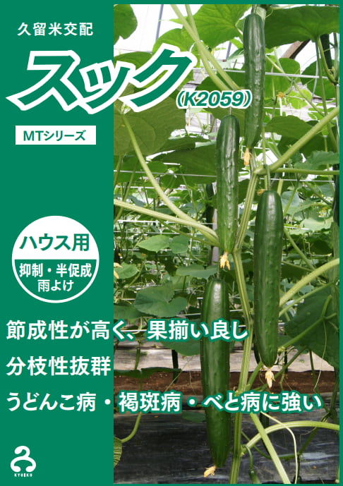 高い収穫量が見込める「スック」