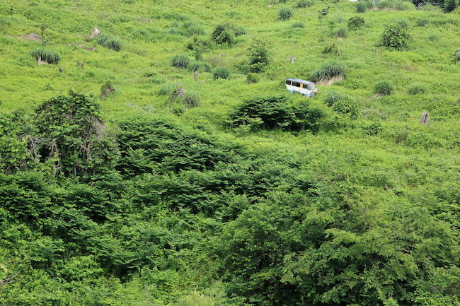 荒廃農地