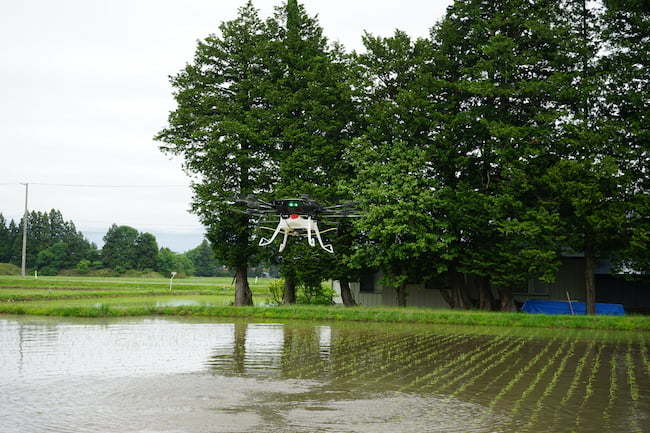 ドローンでの一発処理除草剤の散布