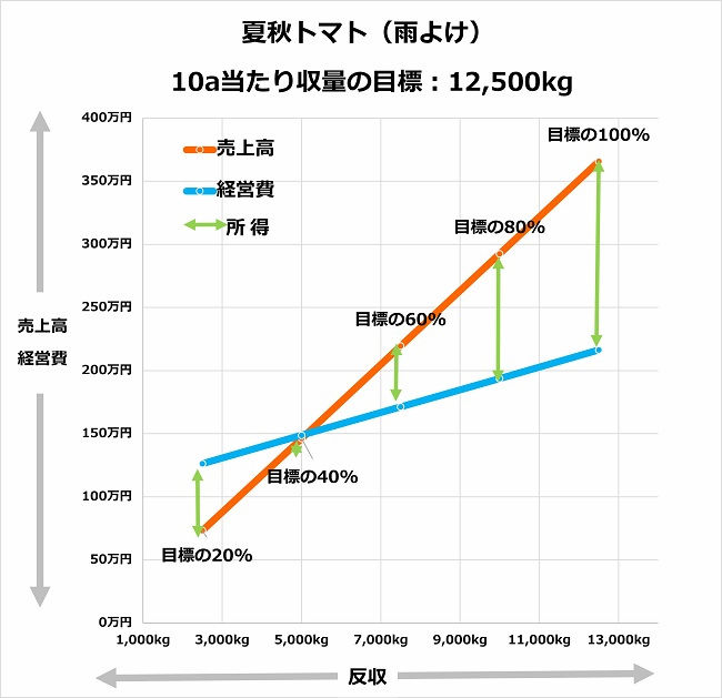 夏秋トマト（雨よけ）