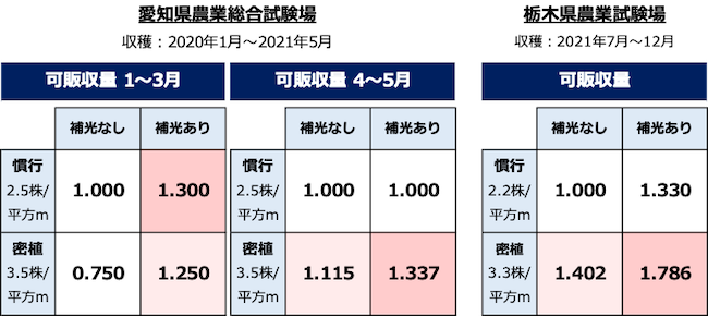 トマト促成長期栽培 LED樹間補光